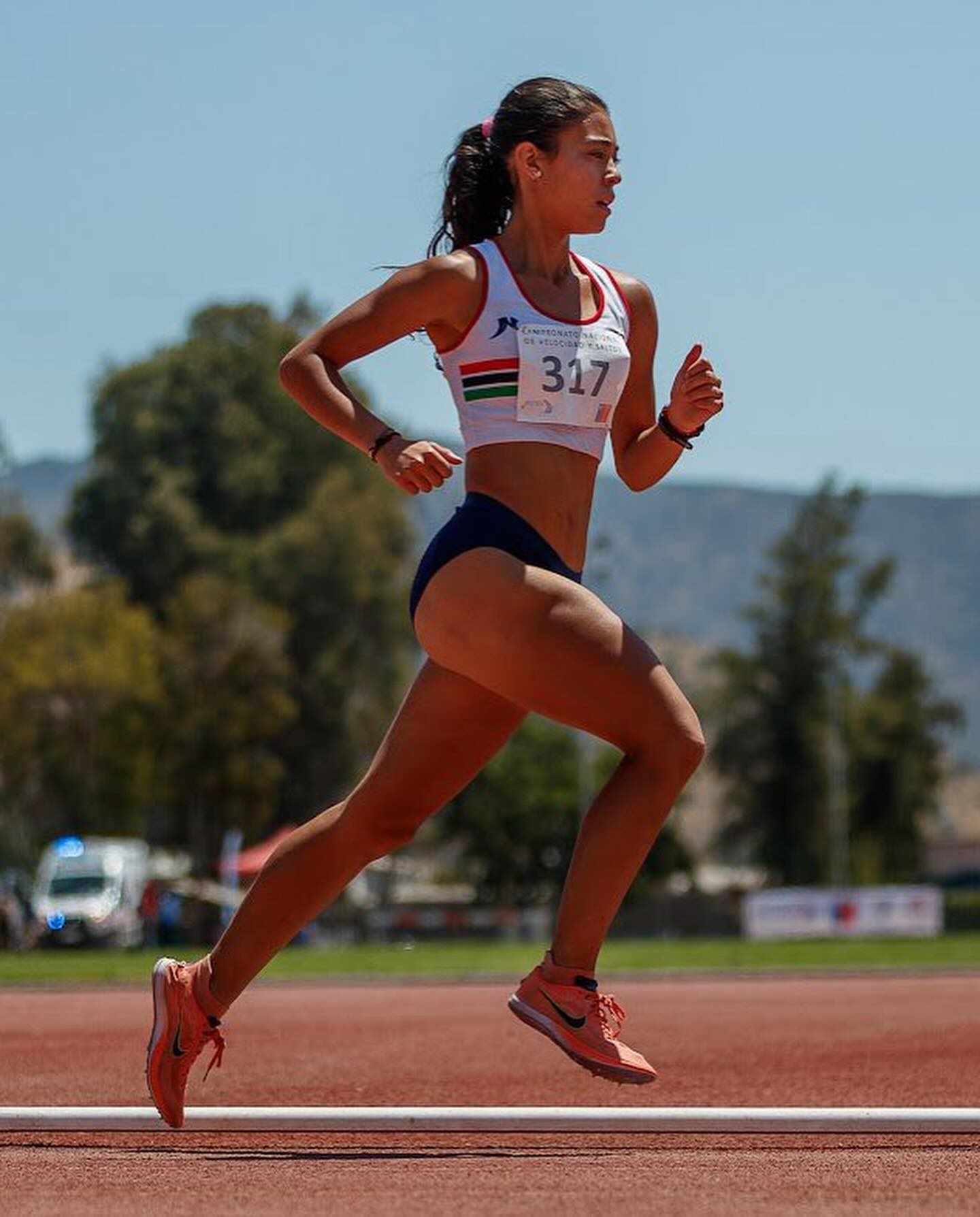 Amparo Herrera Lonardi - Chile