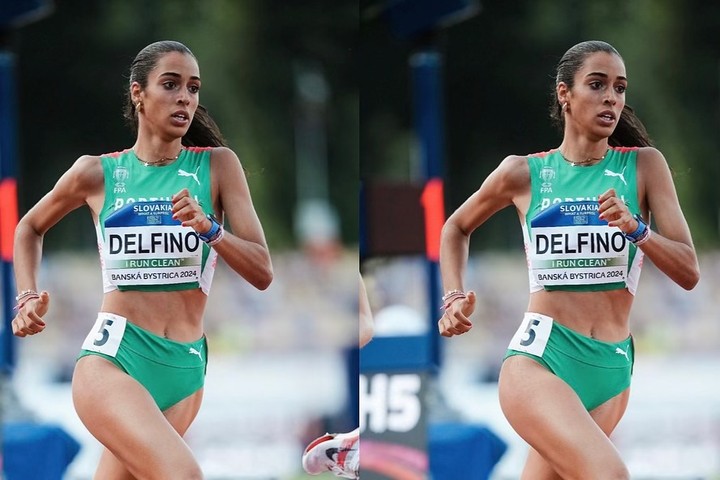Teresas Delfino - Portugal